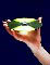holding cd-rom