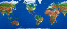 world map with city lights