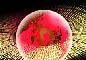 globe and digital numbers