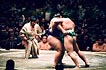 sumo photo