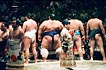 sumo photo