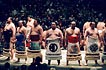 sumo photo