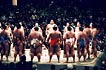 sumo photo