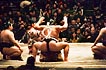 sumo photo