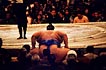 sumo photo