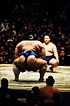 sumo photo