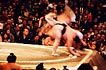 sumo photo