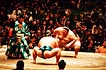 sumo photo