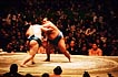 sumo photo