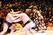 sumo photo