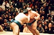 sumo photo