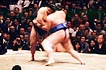 sumo photo