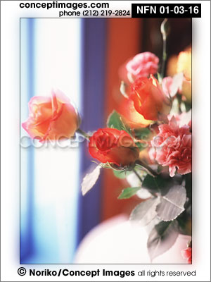 roses