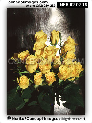 rose bouquet