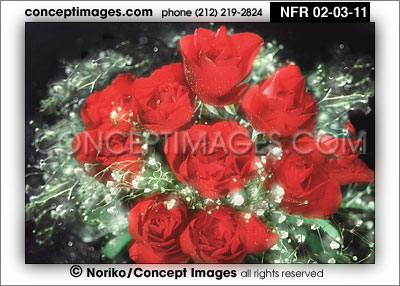 rose bouquet