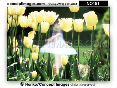 flower girl in tulips