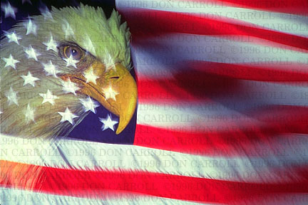 us flag and eagle