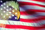 Eagel and flag
