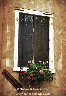 nfn01-10-05.jpg